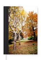 Notitieboek - Schrijfboek - Herfst - Bomen - Bladeren - natuur - Notitieboekje klein - A5 formaat - Schrijfblok