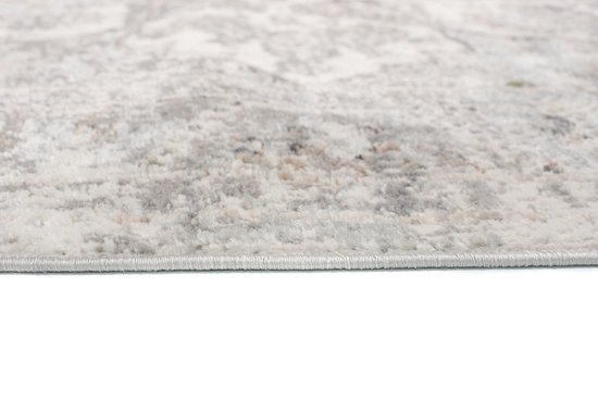 Tapiso Valley Tapis Salon Chambre Gris Clair Cadre Design Moderne Fleurs Durable Vintage Haute Qualité Tapis Taille - 200x300