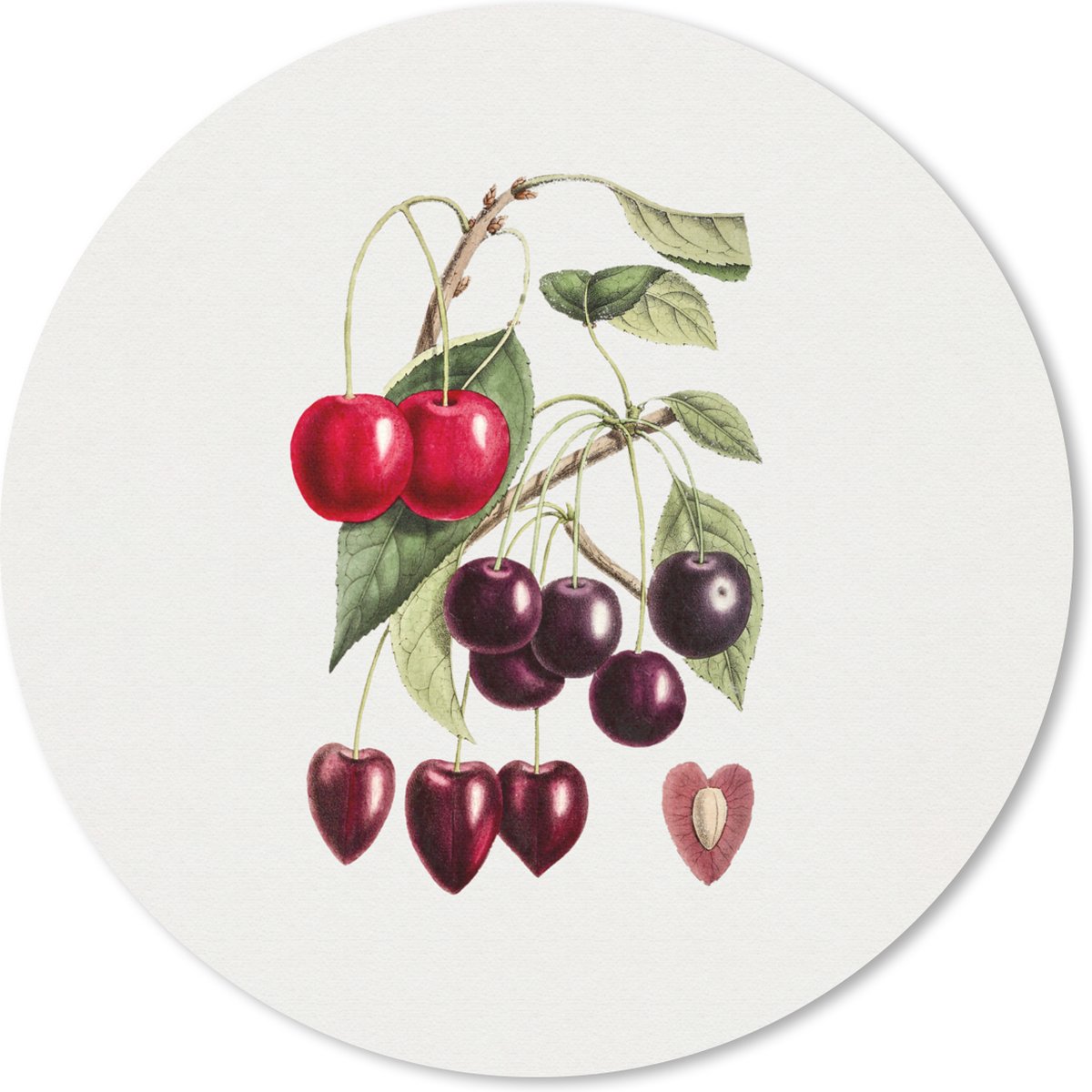 Muismat rond 50x50 cm - Mousepad Kersen - Fruit - Vintage - Ronde muismatten