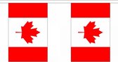 Ligne de drapeau de luxe Canada 9 m