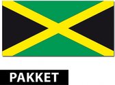 Jamaica versiering pakket