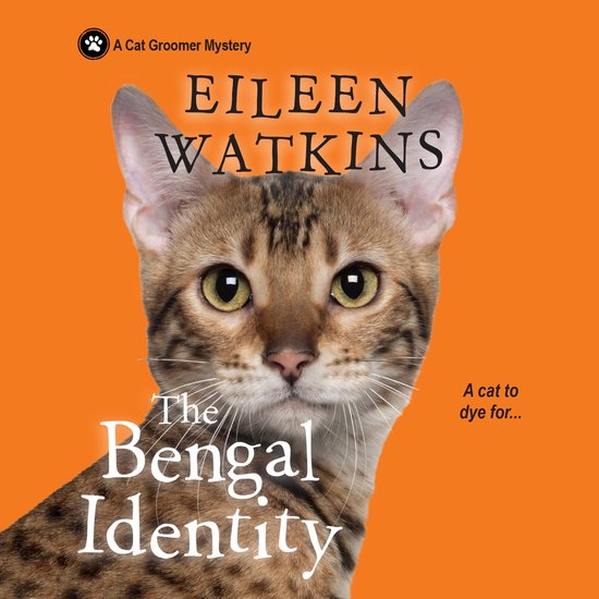 The Bengal Identity - cover