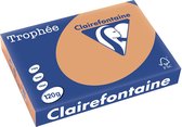 Clairefontaine Trophée Pastel, gekleurd papier, A4, 120 g, 250 vel, mokkabruin 5 stuks