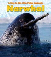 A Day in the Life: Polar Animals - Narwhal