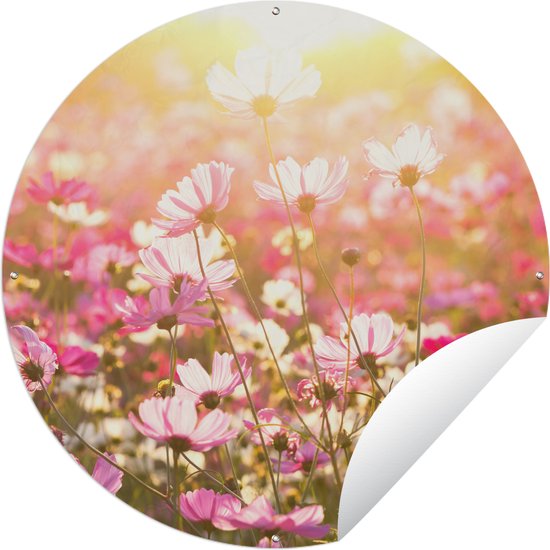 Tuincirkel Zonsondergang - Bloemen - Roze - 150x150 cm - Ronde Tuinposter - Buiten