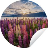 Tuincirkel Nieuw-Zeeland - Plant - Roze - 120x120 cm - Ronde Tuinposter - Buiten XXL / Groot formaat!