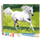 Eagle® Schilderen op Nummer Volwassenen - Wit Paard - Gespannen op Houten Frame - 50x40cm