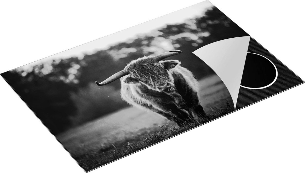 Chefcare Inductie Beschermer Schotse Hooglander in het Veld bij Zonsondergang - Zwart Wit - 80x55 cm - Afdekplaat Inductie - Kookplaat Beschermer - Inductie Mat
