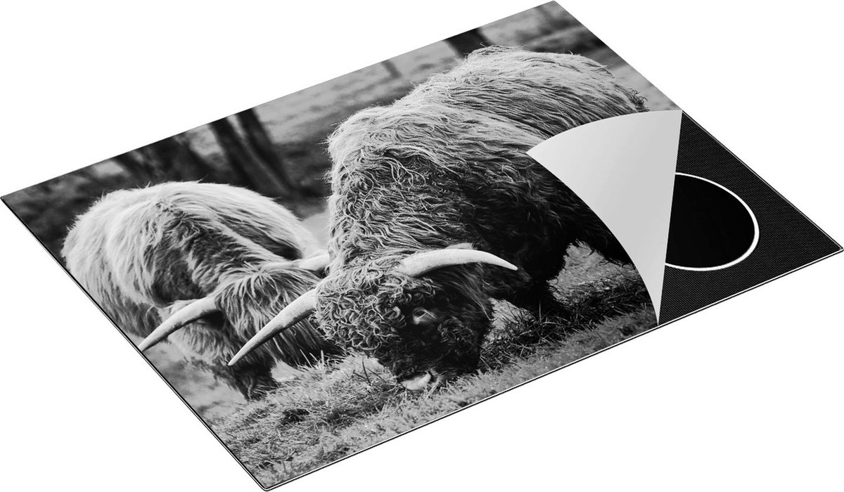 Chefcare Inductie Beschermer Twee Schotse Hooglanders Grazen Gras - Zwart Wit - 70x52 cm - Afdekplaat Inductie - Kookplaat Beschermer - Inductie Mat