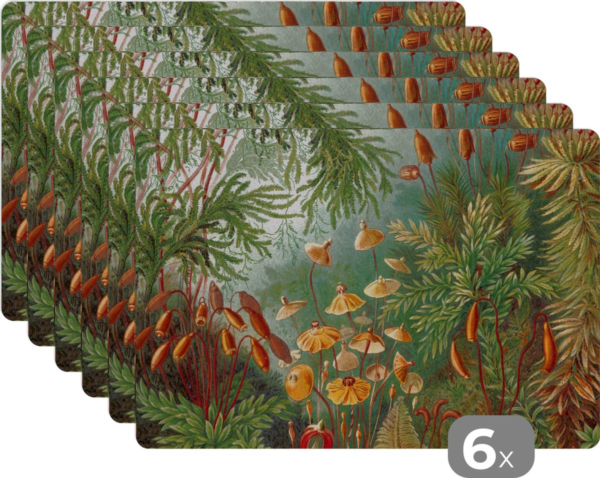 Placemats - Vintage - Natuur - Schilderij - Planten - Ernst Haeckel - Placemat - Onderleggers - Onderleggers placemats - 45x30 cm