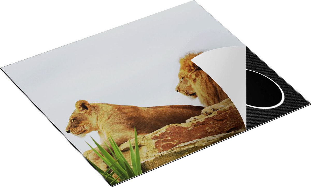 Chefcare Inductie Beschermer Leeuw en Leeuwin op een Rots - 60x52 cm - Afdekplaat Inductie - Kookplaat Beschermer - Inductie Mat