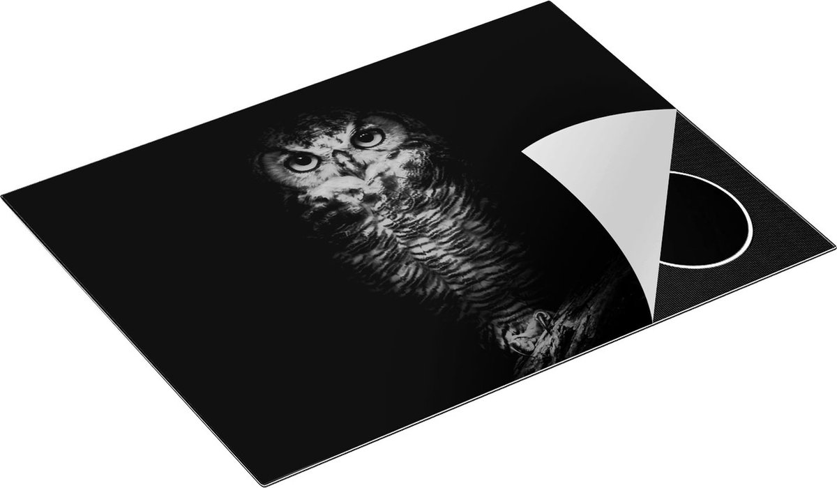Chefcare Inductie Beschermer Uil op een Tak in de Nacht - Zwart Wit - 70x50 cm - Afdekplaat Inductie - Kookplaat Beschermer - Inductie Mat