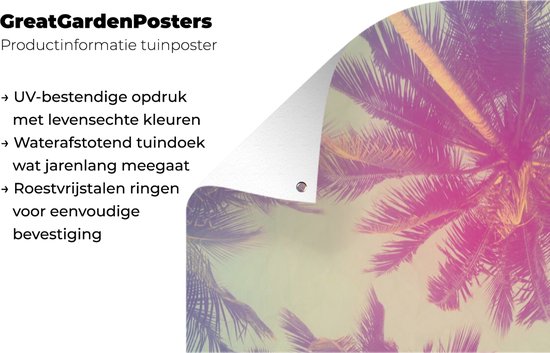 Tableau de jardin - Jardin - Palmier - Feuilles de palmier - Été - 30x60 cm - Toile de clôture - Toile de jardin