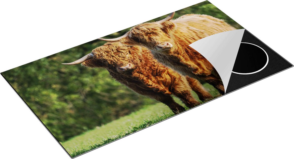 Chefcare Inductie Beschermer Twee Schotse Hooglanders in de Groene Weide - 95x55 cm - Afdekplaat Inductie - Kookplaat Beschermer - Inductie Mat