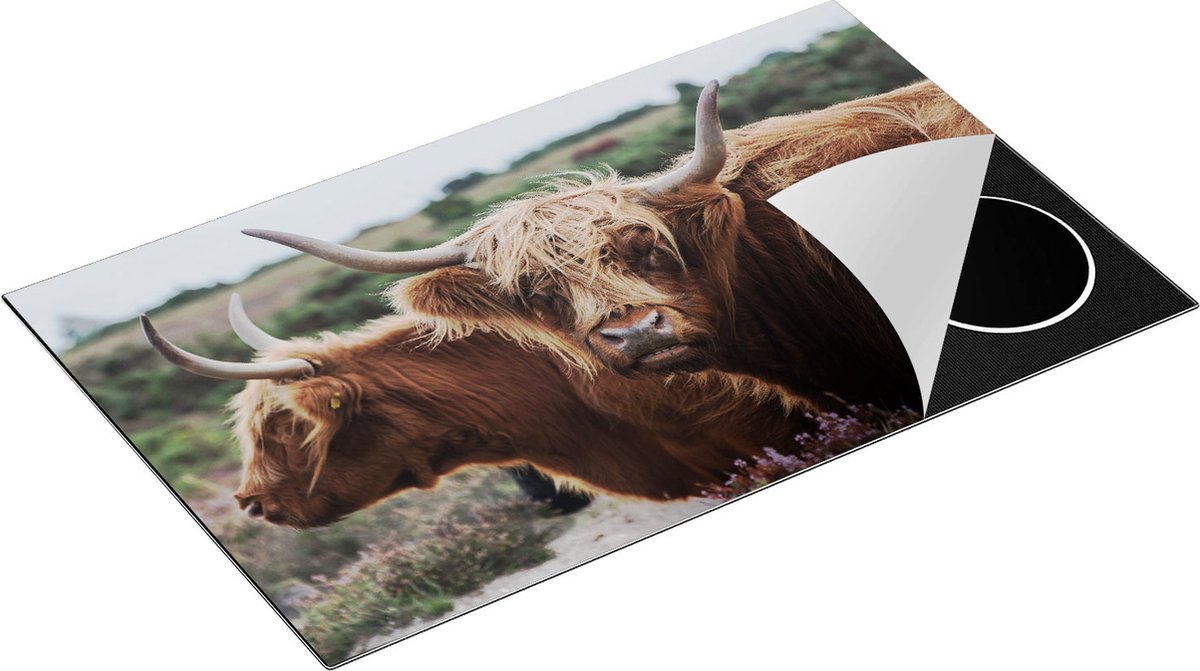 Chefcare Inductie Beschermer Twee Schotse Hooglander Koeien - 85x50 cm - Afdekplaat Inductie - Kookplaat Beschermer - Inductie Mat