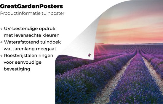 Tuinposter - Lavendel - Bloemen - Paars - Tuin - 50x50 cm - Tuinschilderij - Schuttingdoek - Tuindecoratie