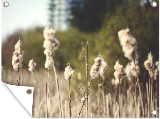 Tuinposter - Katoen - Plant - Gras - Natuur - Bruin - 40x30 cm - Tuin decoratie - Tuin - Muurdecoratie - Wanddecoratie - Tuindoek - Buitenposter