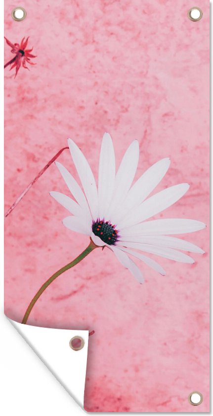 Tuinposter - Bloem - Vintage - Muur - Roze - Tuin decoratie - 30x60 cm - Tuindoek
