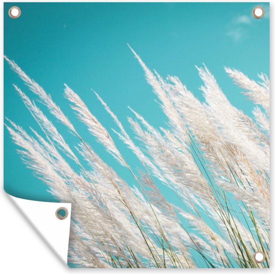 Tuinposter - Pampas - Pampas pluimen - Plant - Lucht - Natuur - 200x200 cm - Tuin decoratie - Tuin - Muurdecoratie - Wanddecoratie - Tuindoek - Buitenposter