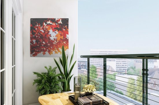 Affiche de jardin - Automne - Feuilles - Oranje - Branche - 50x50 cm - Peinture de jardin - Toile de clôture - Toile de jardin