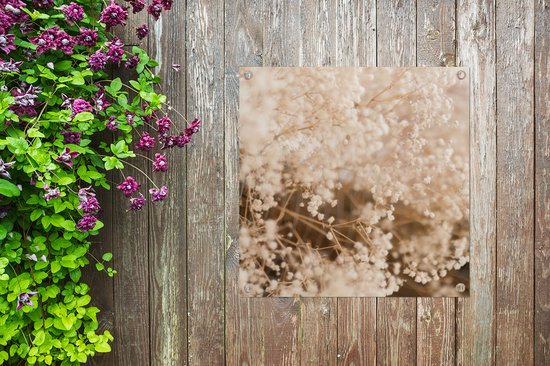 Affiche jardin - Pampa - Herbe de la pampa plante de jardin - Plantes - Nature - Rose - 100x100 cm - Affiche jardin fleurs - Jardin - Décoration murale - Décoration murale - Toile jardin - Affiche extérieur