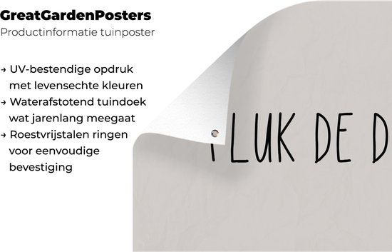 Poster de jardin Texte - Décoration de jardin - Taupe - Couleur sable - Citations - Carpe Diem - Saisir le jour - 120x80 cm - Toile de clôture - Toile de jardin