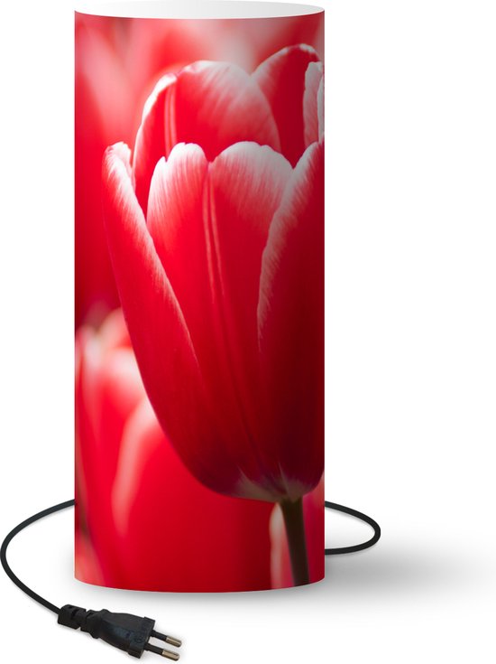 Lamp - Nachtlampje - Tafellamp slaapkamer - Rode tulp in het Japanse  Kagoshima - 70 cm... | bol.com