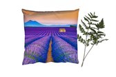 Coussins Coussins décoratifs - Oreillers Salon - 45x45 cm - Lavande - Violet - Fleurs