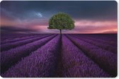 Muismat XXL - Bureau onderlegger - Bureau mat - Lavendel - Boom - Paars - 90x60 cm - XXL muismat