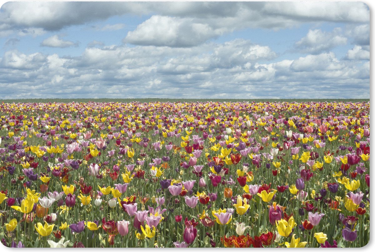 Muismat XXL - Bureau onderlegger - Bureau mat - Tulpen - Kleuren - Wolken - 120x80 cm - XXL muismat