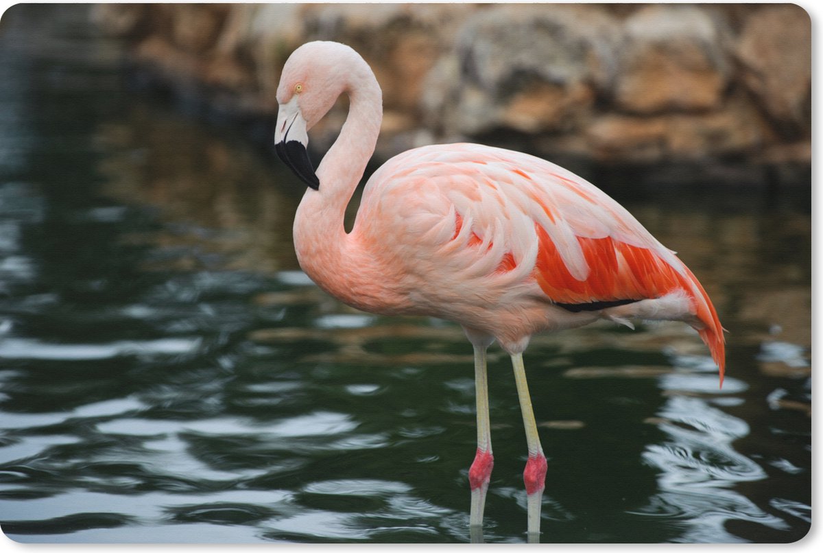 Muismat XXL 90x60 cm - Bureau onderlegger - Bureau mat Een flamingo staat in het water voor de rotsen - Bureaumat - Gaming mousepad xl - Bureaulegger groot - Computer deskmat