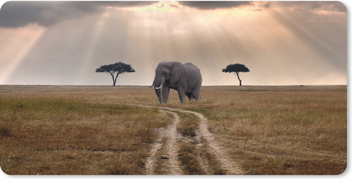 Muismat XXL 120x60 cm - Bureau onderlegger - Bureau mat Olifant - Dieren - Grasvlakte - Zon - Bureaumat - Gaming mousepad xl - Bureaulegger groot - Computer deskmat