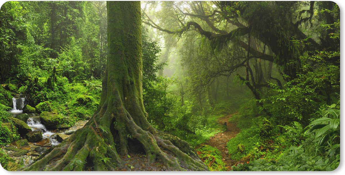 Muismat XXL 100x50 cm - Bureau onderlegger - Bureau mat Jungle - Groen - Azië - Bureaumat - Gaming mousepad xl - Bureaulegger groot - Computer deskmat