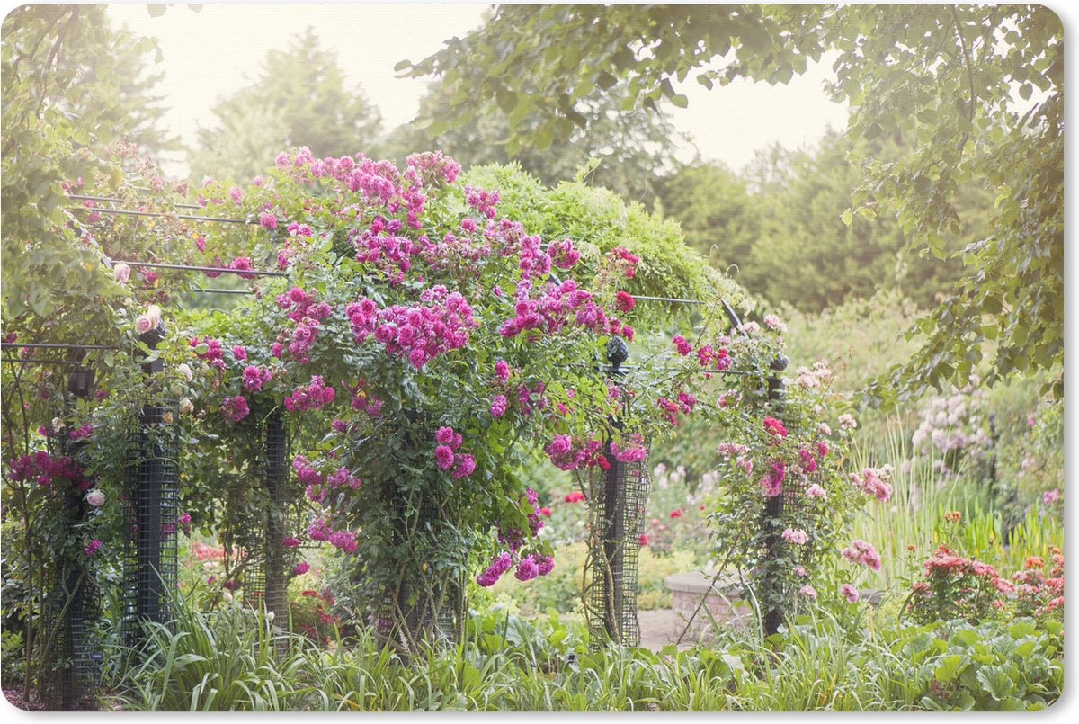 Muismat XXL 90x60 cm - Bureau onderlegger - Bureau mat Mooie roze rozen groeien als planten in de wilde natuur - Bureaumat - Gaming mousepad xl - Bureaulegger groot - Computer deskmat
