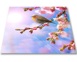 Papillon Wasmachine Beschermer - Antislip mat - 60x60 cm - Vogeltje