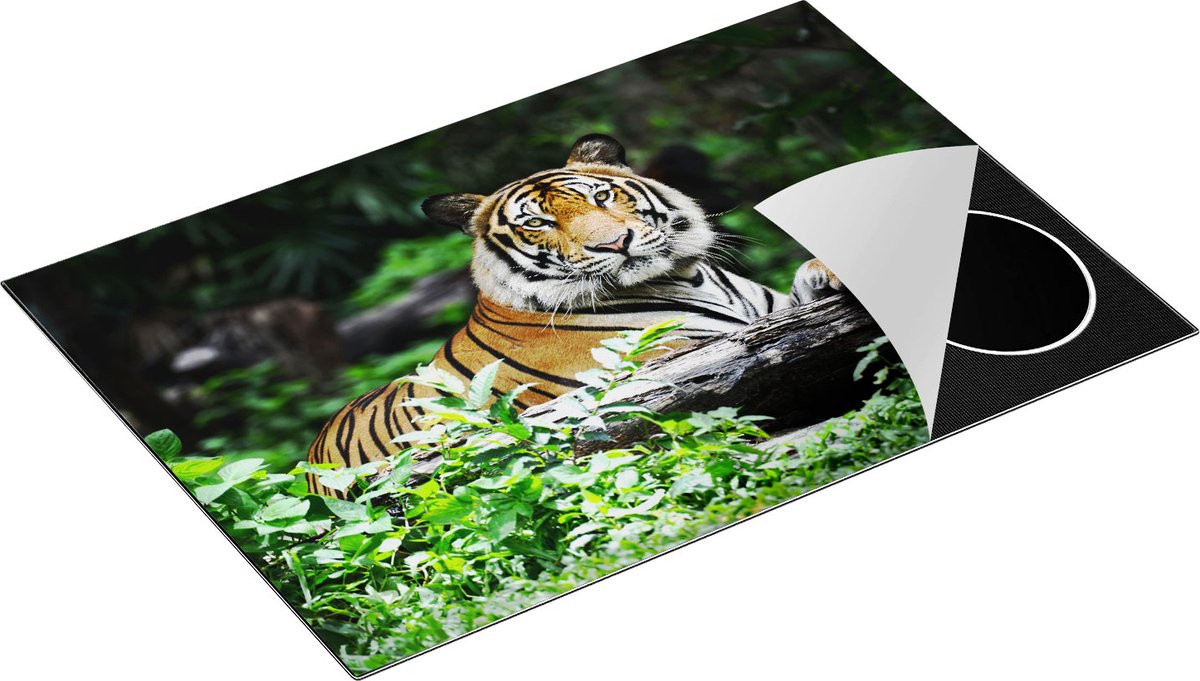 Chefcare Inductie Beschermer Tijger in het Bos - 75x52 cm - Afdekplaat Inductie - Kookplaat Beschermer - Inductie Mat