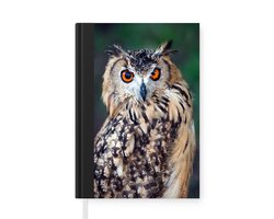 Notitieboek - Schrijfboek - Oehoe uil - Notitieboekje klein - A5 formaat - Schrijfblok