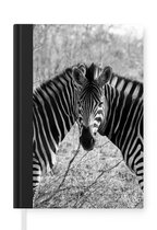 Notitieboek - Schrijfboek - Twee zebra's - Notitieboekje klein - A5 formaat - Schrijfblok