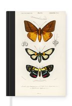 Notitieboek - Schrijfboek - Vlinder - Vintage - Insecten - Notitieboekje klein - A5 formaat - Schrijfblok