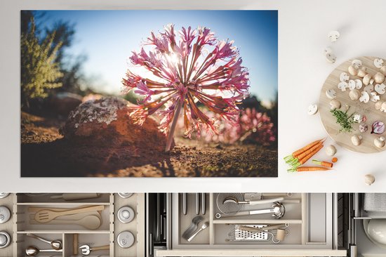 KitchenYeah® Inductie beschermer 80.2x52.2 cm - Roze bloem in zon - Kookplaataccessoires - Afdekplaat voor kookplaat - Inductiebeschermer - Inductiemat - Inductieplaat mat