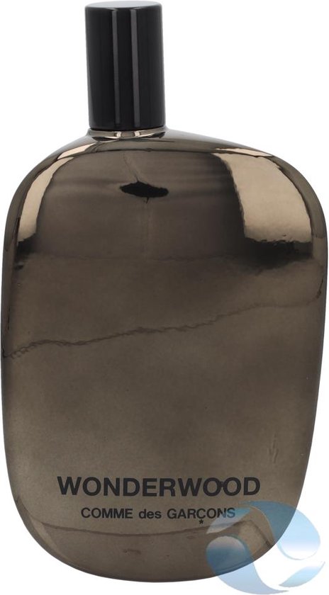 Comme Des Garcons Wonderwood Edp Spray 100 ml | bol