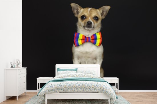 Behang - Fotobehang Hond - Strik - Zwart - Breedte 390 cm x hoogte 260 cm