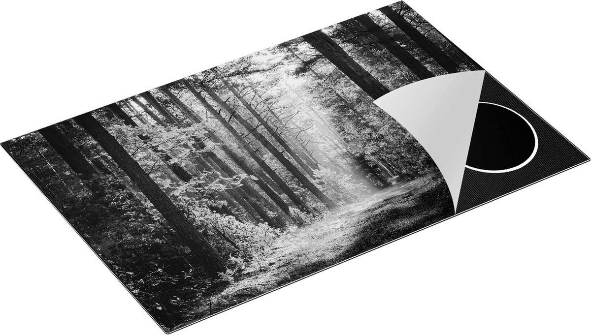 Chefcare Inductie Beschermer Herfstbos met Zonneschijn - Kleur - Zwart Wit - 80x55 cm - Afdekplaat Inductie - Kookplaat Beschermer - Inductie Mat