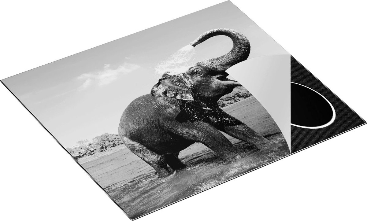 Chefcare Inductie Beschermer Vrolijke Olifant in het Water - Zwart Wit - 59x51 cm - Afdekplaat Inductie - Kookplaat Beschermer - Inductie Mat