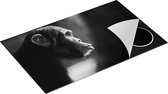 Chefcare Inductie Beschermer Verbaasde Aap vanaf de Zijkant - Zwart Wit - 85x50 cm - Afdekplaat Inductie - Kookplaat Beschermer - Inductie Mat