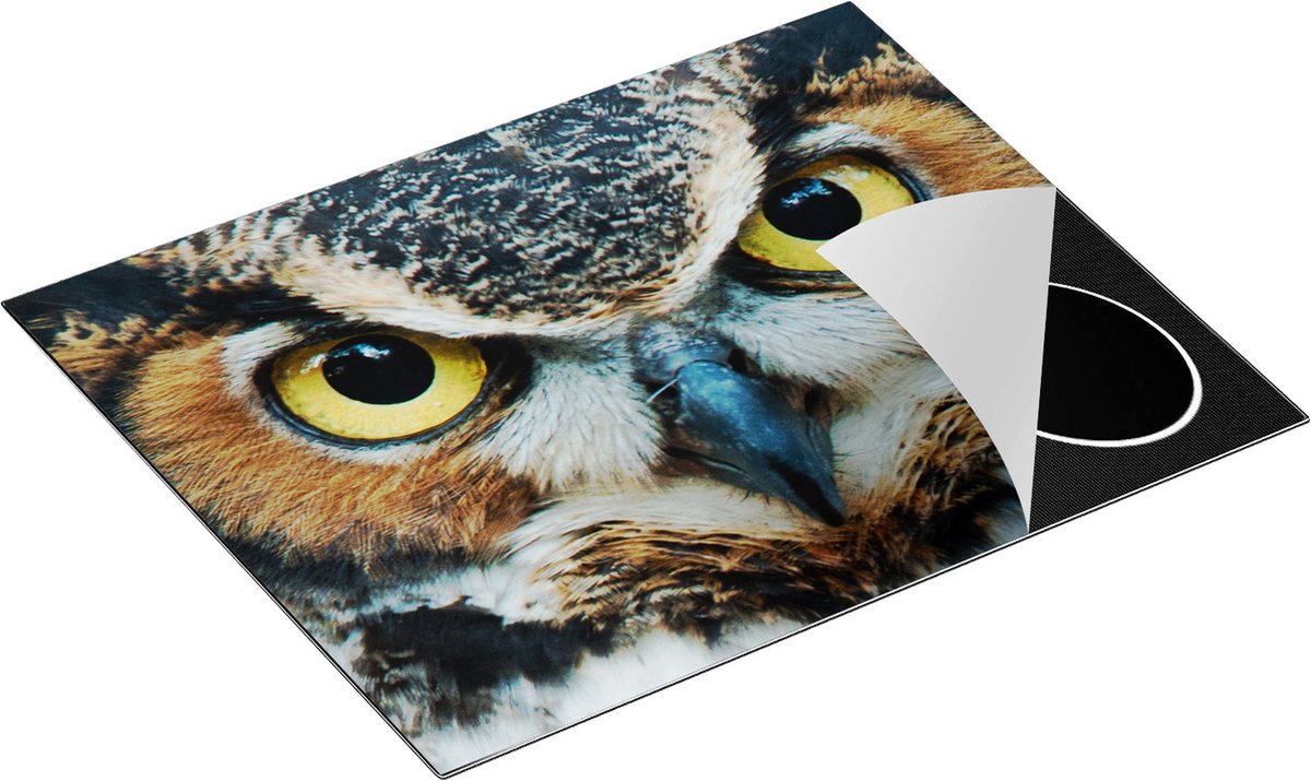 Chefcare Inductie Beschermer Uil Kop met Gouden Ogen - 65x55 cm - Afdekplaat Inductie - Kookplaat Beschermer - Inductie Mat