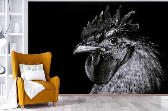 Papier peint - Papier peint Papier peint photo Coq - Vogel - Zwart - Wit - Largeur 600 cm x hauteur 400 cm