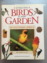 Attracting Birds to Your Garden in Southern Africa