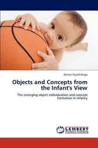 Objects and Concepts from the Infant's View