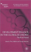 Development Finance in the Global Economy